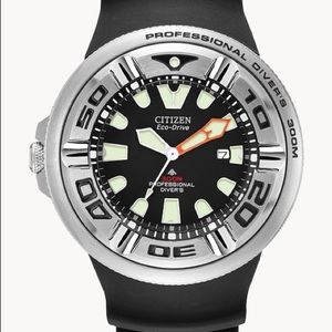 Citizen Pro Diver watch
